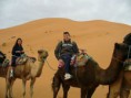 /album/photos/camel-treks-sahara-morocco-jpg4/